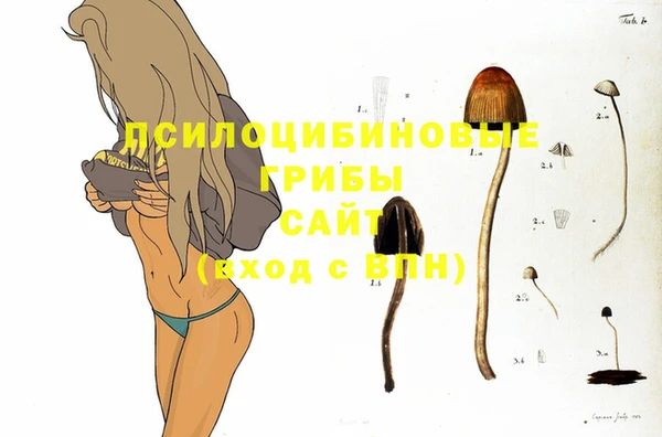 СК Балахна